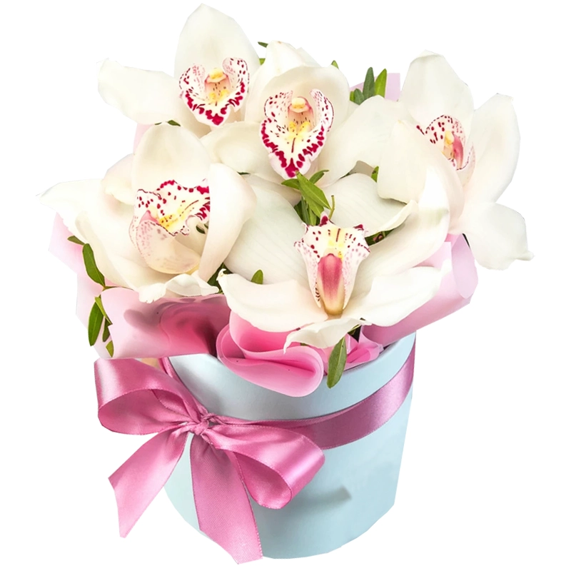 Композиция из 5 белых орхидей